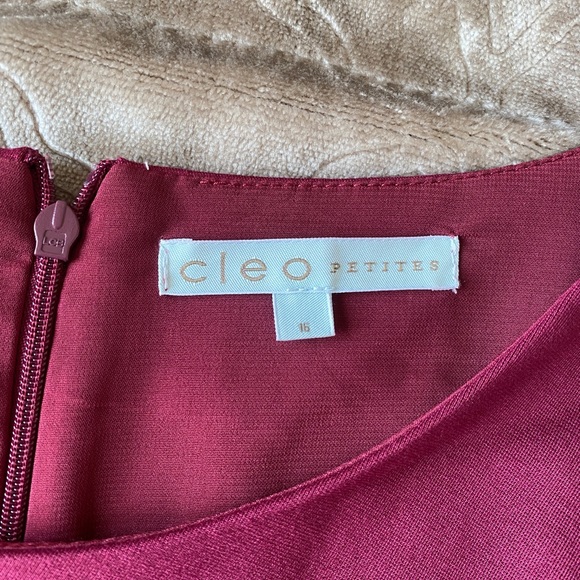 Cleo Work Dress - Picture 6 of 6
